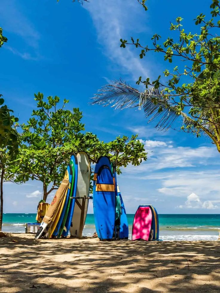 Arrival in Bali, transfer to Kuta and check-in.